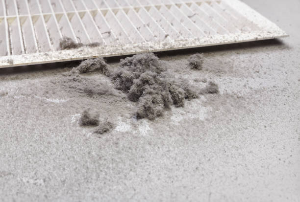 Best HVAC Maintenance and Cleaning  in South Barre, VT